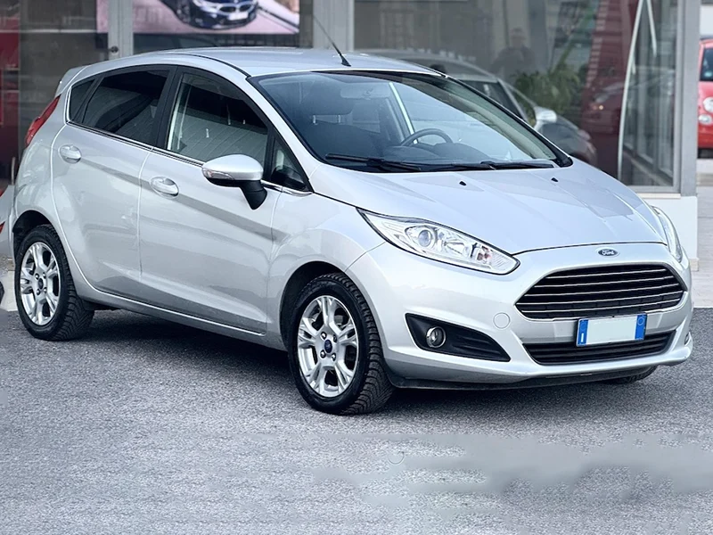 Auto, furgoni e minibus